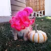 Hundkläder cosplay husdjur peruker roliga för små hundar kattpografi korsklädande kreativa leveranser dropship