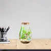 Wazony szklana kopuła dekoracyjna mikro krajobraz butelka ekologiczna soczyste rośliny terrarium dla