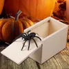 New Trick Spider Funny Scare Box Wooden Hidden Box Quality Prank Wooden Scare Box Fun Game Prank Trick Friend Office Toy Gift