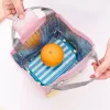 Borsa termica per il pranzo Fi Cute Food Tote Borsa scolastica per il lavoro Custodia termica per la colazione Custodia per picnic da viaggio per le donne