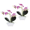 الزهور الزخرفية 2pcs phalaenopsis الاصطناعية الديكور الديكور خزانة الكتب محاكاة زهرة بونساي