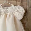 1. Geburtstagsfeier Babykleid Sommerprinzessin ein Jahr Mädchen Kleider Kleidung Blume Puffhülle Kleinkindkleider für Mädchen 240319