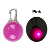 Colliers de nuit LED pour animaux de compagnie, brille dans la nuit, lumineux, fournitures pour animaux de compagnie, accessoires, collier pour chat, lumières