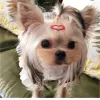 Mini Pet Dog Hairpin Metal Candy Color 2,5 cm Small Puppy Cat Coie Clips Clip Clip Clip Clip Dog ACCESSOIRES DE CHELING ACCESSOIRES