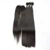 Pack Synthetic Hair Bundles with Closure All in 1 Straight Synthetic Sew in Weave Hair Bundles Women Weavon 3 Bundles with Closures