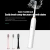 Heads Xiaomi Mijia Ultrasonic Electric Tooth Brush uppladdningsbar USB med bas 6 -läge Sonic Toothbrush IPX7 Waterproof Travel Box Holder