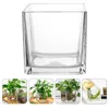 Vasen, würfelförmiger Glas-Pflanzgefäß, quadratische Vase, Pflanzenhalter, Blumenarrangement-Behälter (10 x 10 cm)