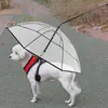 مقود الياقات الكلاب المظلة سهلاً