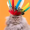 Porte-chat en plumes, joli bandeau pour animaux de compagnie, accessoire de Costume accrocheur, utilisation quotidienne du chien pour la famille