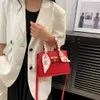 Tasarımcı Lüks Moda Tote Çanta Gelişmiş El Torbası Kadın Çantası 2024 Yaz Yeni Doku Küçük Paket Tek Omuz Crossbody Bag