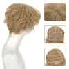 Wigs Ailiade قصيرة مجعد Cosplay Men Boy Party Light Yellow Manthetic Hair Hair Rights Bread