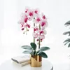 Flores decorativas simuladas bonsai falso flor artificial decoração casamento simulação pano de seda phalaenopsis