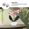 Flores decorativas simulación Phalaenopsis Bonsai Artificial falso en maceta Planta realista