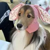 Cão vestuário ins orelhas pet malha chapéu gato outono inverno quente à prova de vento cabeça capa bonito decoração gatinho cachorrinho earmuffs