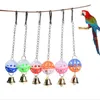 Autres fournitures d'oiseaux Ball Bell Bell avec animal de compagnie