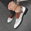 Scarpe casual Scarpe a punta da uomo Scarpe eleganti 2024 Scarpe oxford da uomo Calzature in pelle Moda Coiffeur Modello coccodrillo