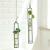 Vases fer hydroponique hydroponique planteur pot transparent corde pendentif mural salon pot de fleurs maison ornement nordique