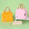 Pure Cott Lunch Bag Isolado Cooler Bag Canvas Cooler Bag Ice Cooler Mochila Mulher Bolsa Bonito Eco Shop T3TF #