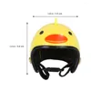 Vêtements de chien 3pcs chapeau d'oiseau chapeaux volaille pour poulet perroquet poule animal de compagnie