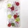 Fleurs décoratives 5 pièces Mini fruits pressés séchés tranches de Pitaya plante herbier pour bijoux Po cadre étui de téléphone signet faisant bricolage