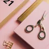 Dog Apparel 6 Pcs Scissor Ring Supple Rings Of Scissors Shears Pets Grooming Cover Handheld