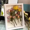 Frame Simple Hollow Dried Flower Photo Frame Creative DIY Handmade Photo Frame Ornament Shell Insect Specimen Display Photo Frames