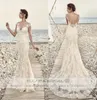 Cap Sleeved Champagne Lace Wedding Dress with Illusion Back Fit to Flare Slim Bridal Dress Gown Custom Made2395457