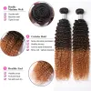 1B/4/27 Colored Kinky Curly Human Hair Bundles 10A Hair Curly Weave 1/3/4 Bundles Maxine Afro Kinky Curly Human Hair Extensions