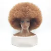 Wigs Afro Clown Cosplay Wigs for Women Black Cap Big Top Football Fans Wigs Halloween Adults Unisex Synthetic Hair Black Men Curly