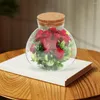 Vasos Fairy Light Glass Dome Micro Paisagem Garrafa Ecológica Itens Domésticos Musgo