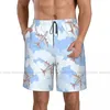 Men's Shorts Beach Short Swim Airplane In The Sky Surfing Sport Board Swimwear