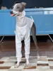 Dog Apparel Whippet Turtleneck Soft Biped Clothes Italian Greyhound Cotton Gray Pet