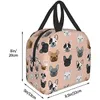 Bulldog Dog Bull Borse da pranzo isolato Leafproof Coolier Kids Box Box per uomini donne riutilizzabili per la borsa termica per il lavoro in ufficio Picnic 30yy#