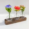 Vases 3/5Ball Bottles Transparent Flower With Wooden Base Simple Art Hydroponic Living Room Office Table Shelf Decoration