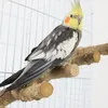 その他の鳥の供給が取り外し可能なオウム自然木材クライミングはしごの噛む抵抗性おもちゃスタンドパラキート粉砕フォーク