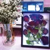 Frame Simple Hollow Dried Flower Photo Frame Creative DIY Handmade Photo Frame Ornament Shell Insect Specimen Display Photo Frames