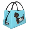 Mignon Teckel Dog Sacs à lunch isolés pour les femmes Saucisse Wiener Badger Dogs Portable Thermal Cooler Bento Box Travail Voyage N1zr #