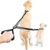 Colliers pour chiens, corde de Traction à Double tête, pour laisse en Nylon, élastique et rétractable, pour marche en plein air, fourniture pour animaux de compagnie, 88-120cm, 360 degrés