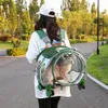 Valise à roulettes pour animaux de compagnie, sac entièrement Transparent pour chien, sac à dos de grande capacité pour animaux de compagnie, chat