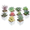 Fiori decorativi 10 pezzi piante succulente artificiali figurine di cactus in miniatura modelli bonsai in vaso micro paesaggio piante grasse in plastica