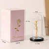 Dekorative Blumen LED Galaxy Rose Eternal 24k Gold Folie Blume mit Schnur Lichter Box Künstliches Geschenk Valentinstag für Frauen Mädchen