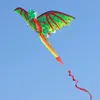 Groene dinosaurus Kite Wing Dragon Triangle Piloot Kite Vliegende ouder Kind Sport Pipa Professionele vliegers Cometa Gigante 240430