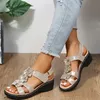 Summer Womens Sandals Flower Fish Mouth Hollow Breathable Wedge Sandals Casual Plus Size Comfortable Retro Roman Sandals Female 240430