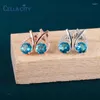 Boucles d'oreilles en peluche de cellule CELLACY Silver 925 bijoux rond Blue Zircon Rose Gold Color Stud pour femmes charme-stud-studs Femme Cadeau