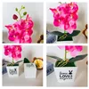 Decoratieve bloemen kunstmatige vlinder orchidee bonsai nepbloem met pot motten orchideeën niet-geweven stoffen planten wieden thuiskamer decor