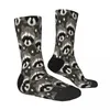 Chaussettes masculines Stars Stars Raccoon Male Mens Femmes Stocks d'hiver Imprimés