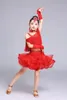 Stage Wear Girl's Latin Dance Dress Performance Costume Children's Competition Art Exam Practice Skirt
