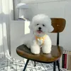犬アパレルペットストラップドレステディベアポメラニアンかわいいベストヨークシャーマルジススモールドッグ猫衣類子犬服シャツ