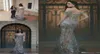 2017 Neue luxuriöse formale Kleider Abend abziehen von Schulter mermaid Rückenless Sticker Perlen Lange arabische Prom -Party -Festzugskleider 7697145