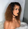 14 Inches Afro Kinky Curly Synthetic Lace Front Wig Simulation Human Hair Wigs Perruques de cheveux humains NZLS284146519242